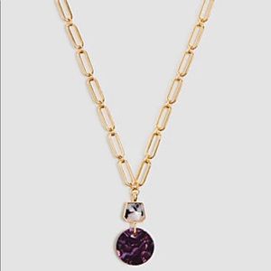 Ann Taylor Tortoiseshell Circle Pendant Necklace